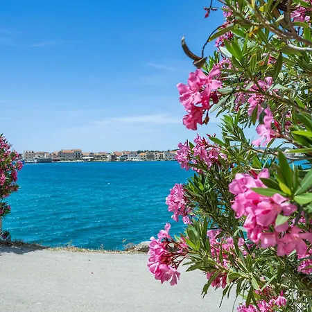 1 Bedroom Lovely In * Brodarica (Sibenik-Knin)